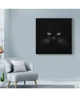 Lori Hutchison 'Black Cat Centered' Canvas Art