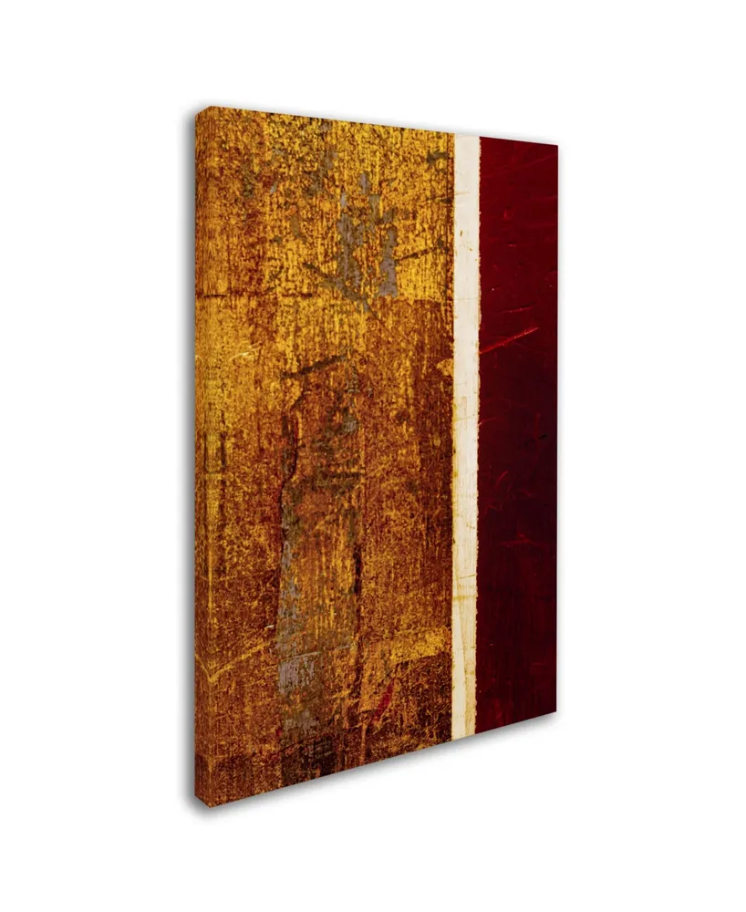 Claire Doherty 'Gold Flakes' Canvas Art - 30" x 47"