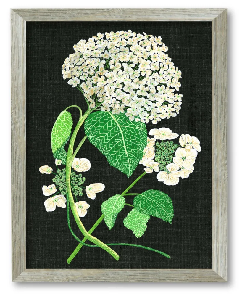 Courtside Market Hydrangea Study Ii 16" x 20" Framed Canvas Wall Art