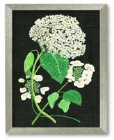 Courtside Market Hydrangea Study Ii 16" x 20" Framed Canvas Wall Art