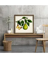 Courtside Market Fruit with Butterflies I 18" x 18" Framed Canvas Wall Art