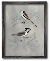 Courtside Market Aviary Iv Framed Canvas Wall Art Collection