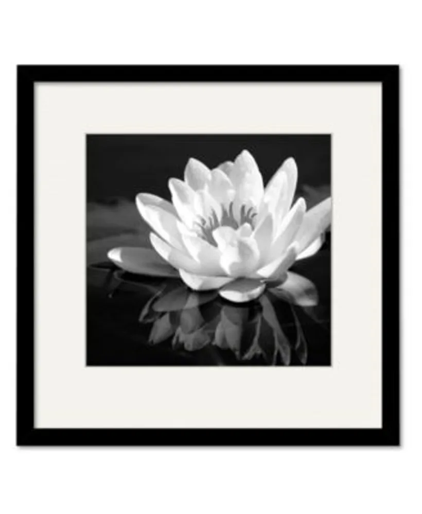 Courtside Market Waterlily Flower I Framed Matted Art Collection