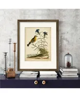 Courtside Market Natural Habitat Iii Framed Matted Art Collection