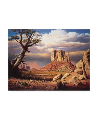 R W Hedge Home to the Sun Canvas Art