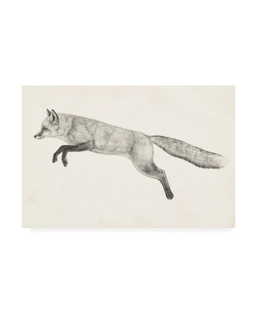 Victoria Borges Flying Fox Ii Canvas Art - 19.5" x 26"