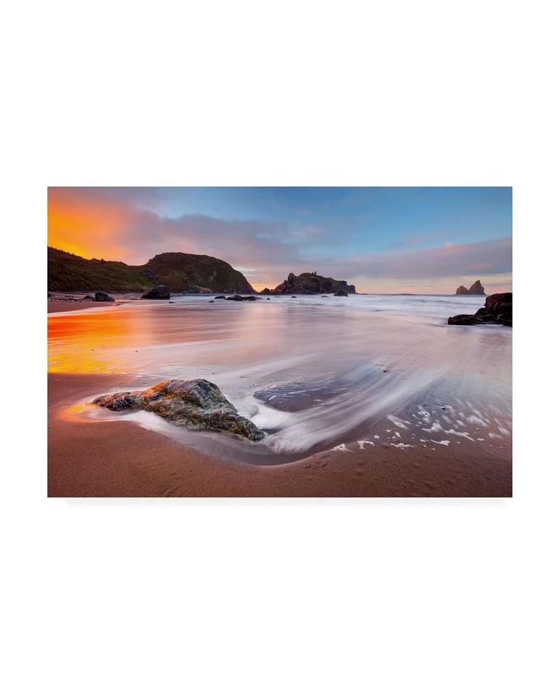 Darren White Photography Citrus Sunrise Canvas Art - 36.5" x 48"