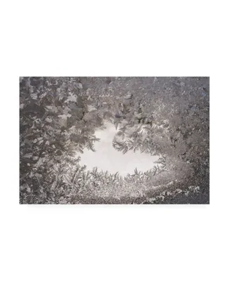 Kurt Shaffer Photographs Ice crystal mosaic on my window Canvas Art