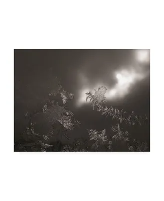 Kurt Shaffer Photographs Ice crystals on my window with sun and clouds Canvas Art
