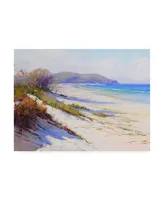 Graham Gercke Port Stephans Beach Sands Canvas Art