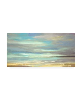 Sheila Finch Golden Beach Canvas Art - 20" x 25"