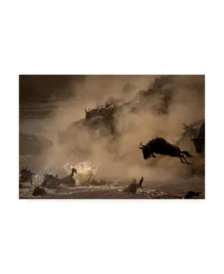 Adrian Wray The Great Wildebeest Migration Canvas Art
