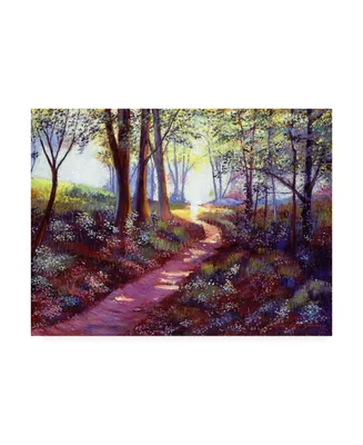 David Lloyd Glover Pathway Into the Light Canvas Art - 37" x 49"