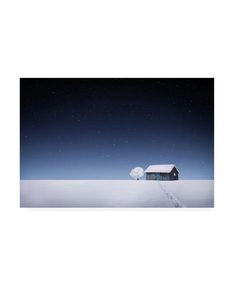 Bess Hamiti Winter Rural Stars Canvas Art