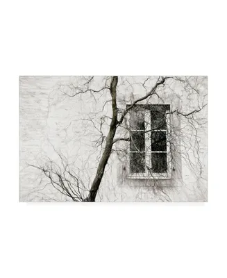 Gilbert Claes Veiled Window Canvas Art