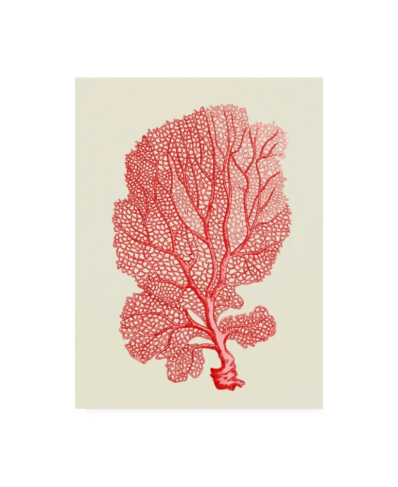 Fab Funky Red Corals 1 B Canvas Art