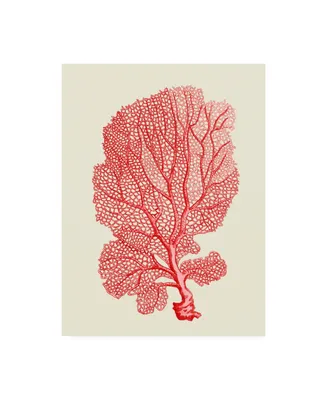 Fab Funky Red Corals 1 B Canvas Art