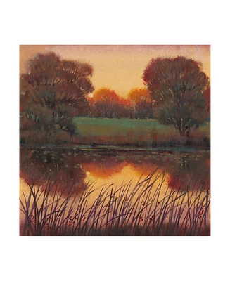 Tim Otoole Early Evening I Autumn Canvas Art - 19.5" x 26"