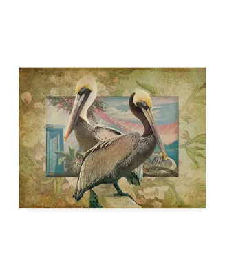 Steve Hunziker Pelican Paradise Iv Canvas Art