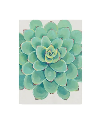 Tim O'Toole Pastel Succulent Iii Canvas Art - 27" x 33.5"