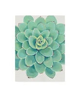 Tim O'Toole Pastel Succulent Iii Canvas Art - 27" x 33.5"