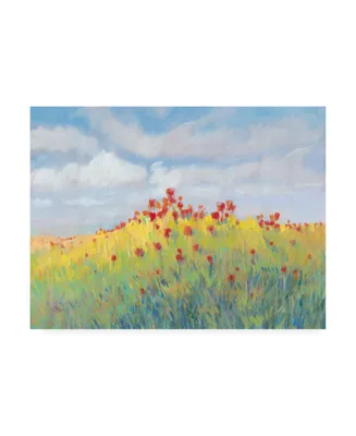 Tim OToole Summer Breeze Meadow Ii Canvas Art