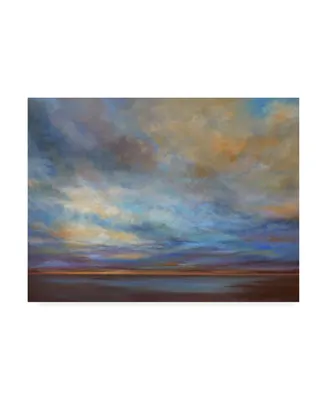 Sheila Finch Coastal Clouds I Canvas Art