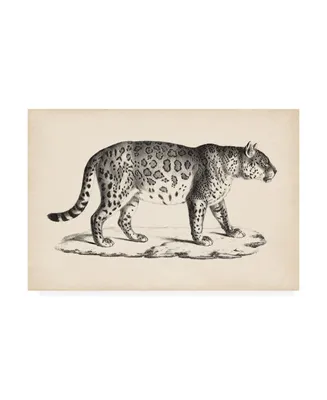 Brodtmann Brodtmann Male Leopard Canvas Art