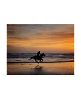 Ph Burchett Sunkissed Horses Iv Canvas Art