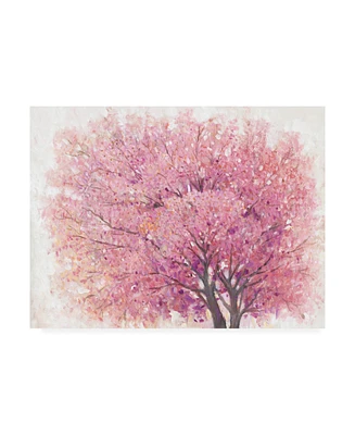 Tim OToole Pink Cherry Blossom Tree Ii Canvas Art - 27" x 33.5"