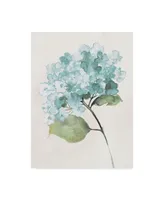 Wild Apple Portfolio Antique Floral on Cream I Blue Canvas Art - 20" x 25"