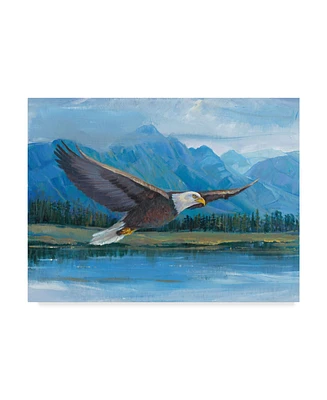 Tim Otoole Eagle Soaring Photography Canvas Art - 37" x 49"