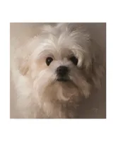 Lois Bryan Maltese Puppy Portrait Canvas Art - 15" x 20"