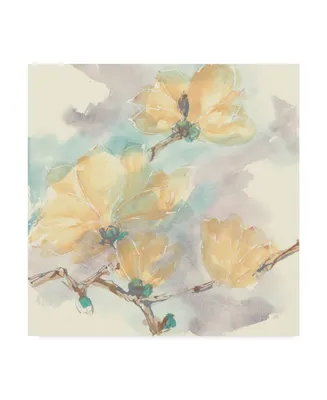 Chris Paschke Magnolias in White Ii Canvas Art