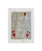 Kathleen Parr Mckenna Rustic Valentine Bushel and a Peck Canvas Art - 15" x 20"