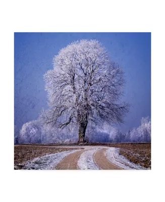 Philippe Sainte-Laudy The Sounds of Silence Canvas Art