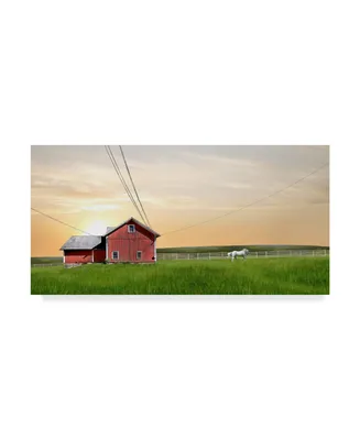 James Mcloughlin Farm and Country Iv Canvas Art - 20" x 25"