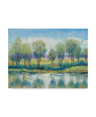 Tim Otoole River Reflection I Canvas Art - 15" x 20"