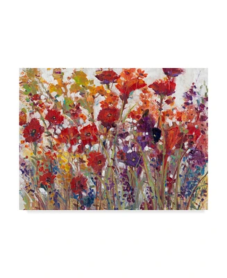 Tim Otoole Variety of Flowers I Canvas Art - 20" x 25"