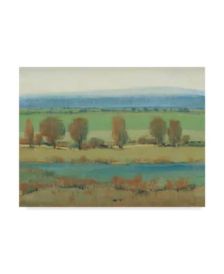 Tim Otoole Flat Terrain I Canvas Art - 20" x 25"