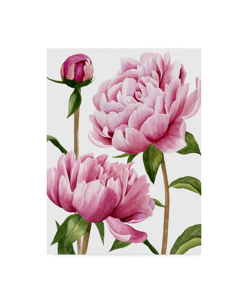 Grace Popp Winsome Peonies I Canvas Art - 20" x 25"