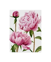 Grace Popp Winsome Peonies I Canvas Art - 20" x 25"