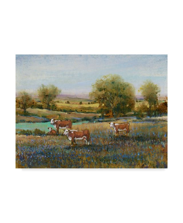 Tim Otoole Field of Cattle Ii Canvas Art