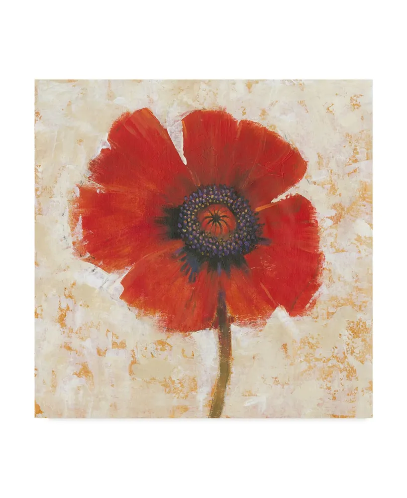 Tim Otoole Red Poppy Portrait I Canvas Art - 27" x 33"