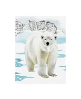 Grace Popp Arctic Animal Ii Canvas Art