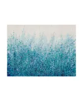 Tim Otoole Misty Blues Ii Canvas Art