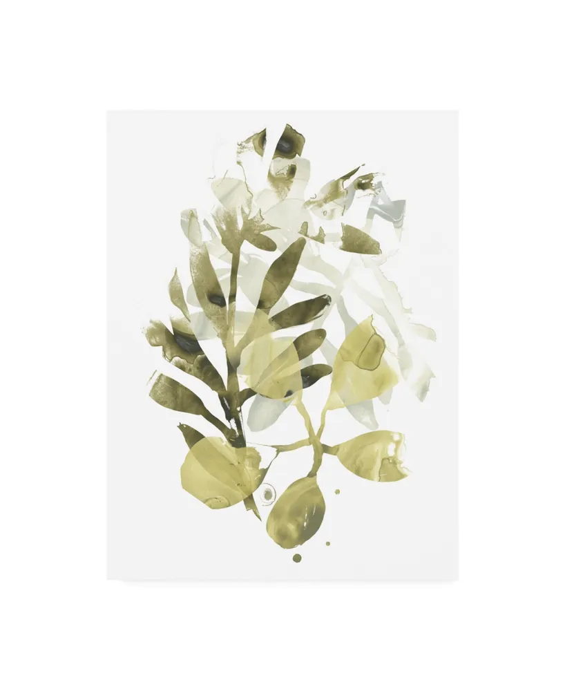 June Erica Vess Lichen and Leaves Ii Canvas Art