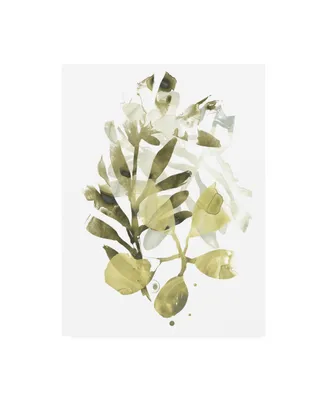 June Erica Vess Lichen and Leaves Ii Canvas Art