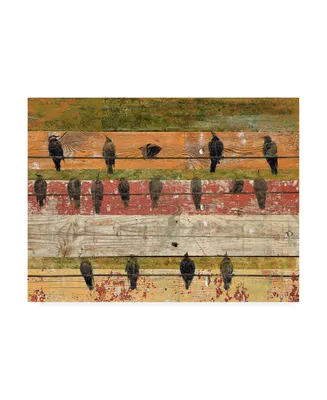 Irena Orlov Birds on Wood Vi Canvas Art