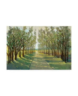 Tim Otoole Forest Path Canvas Art